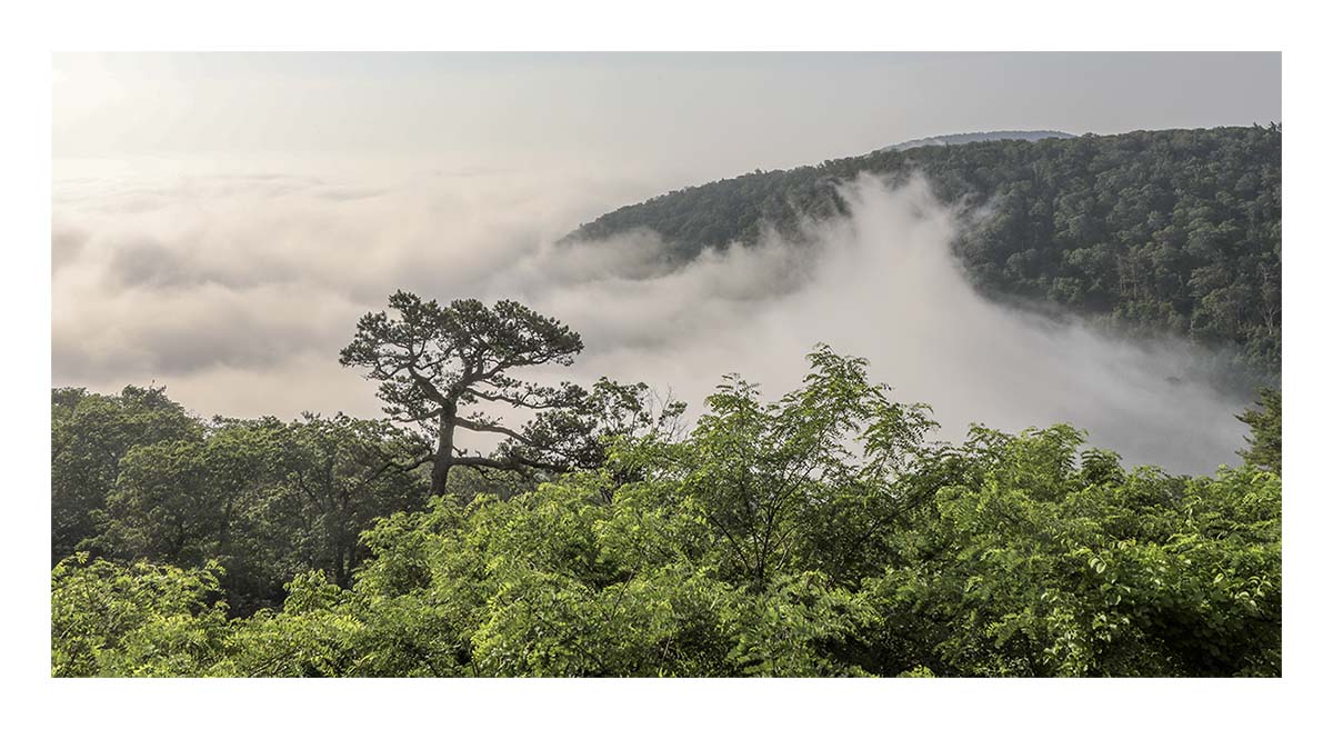 Shenandoah NP